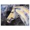 Designart - The Head of A Lipizzan Horse - Farmhouse Canvas Wall Art Print